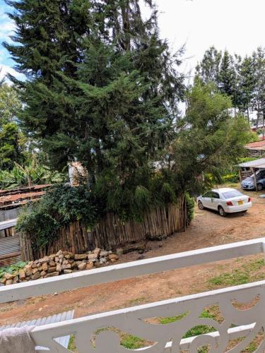 Taman di luar centennial