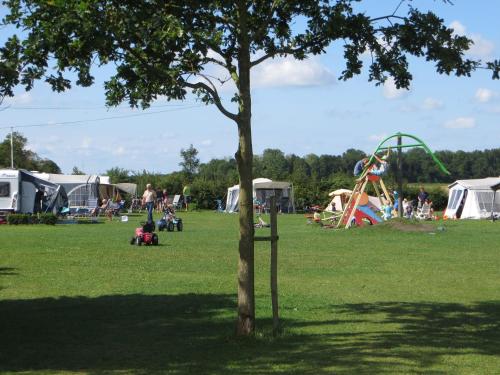 a park with tents and a tree in the grass at Boerderijcamping Plantlust in Veere