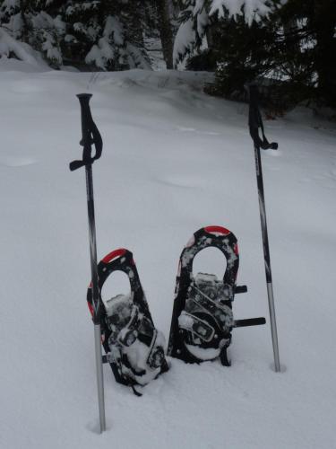 a pair of skis and ski poles in the snow at Fesengut in Annaberg im Lammertal