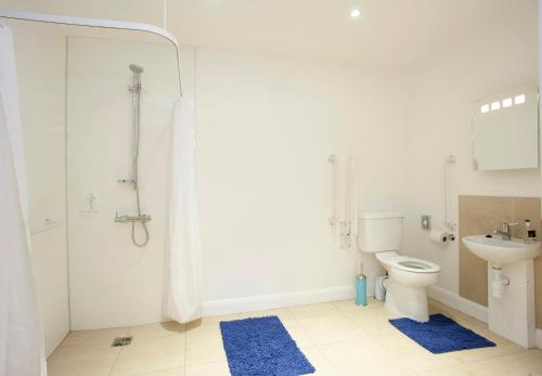 a bathroom with a toilet and a shower and a sink at The Pyjama Factory in Bushmills