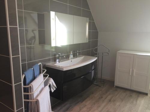 een badkamer met een wastafel en een spiegel bij Le Trymen in Saint-Guénolé
