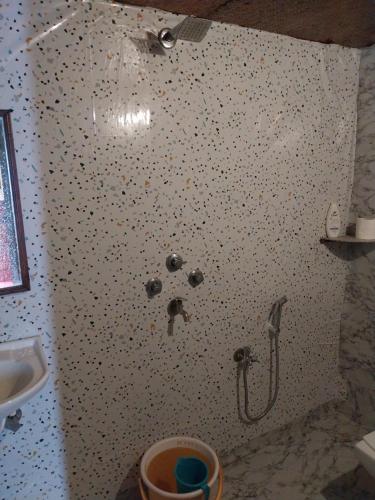 a shower in a bathroom with a white wall at Fernandes Bar and Restaurant in Canacona