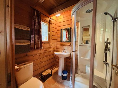 une salle de bain avec toilettes, un lavabo et une douche dans l'établissement Chalet 4 chambres proche pistes – Confort et charme - FR-1-353-151, à La Plagne Tarentaise
