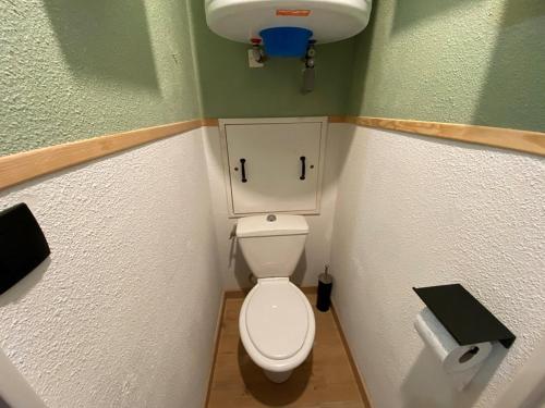 une petite salle de bain avec toilettes et lavabo dans l'établissement Studio rénové 4 pers. avec terrasse et parking, Crest-Voland - FR-1-733-159, à Crest-Voland