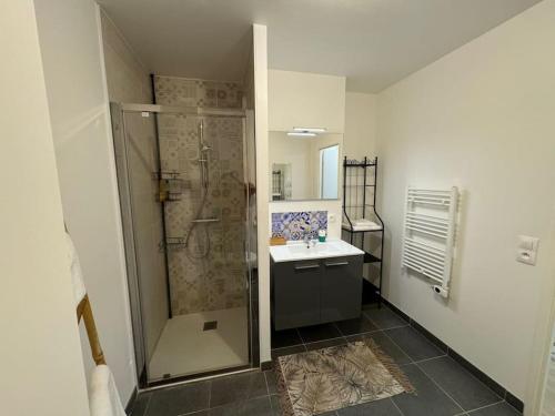une salle de bain avec douche et lavabo dans l'établissement Appartement spacieux avec terrasse, à Caen