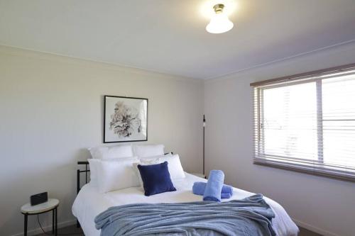 a bedroom with a large bed with blue pillows at Family Retreat in Central Tenterfield in Tenterfield