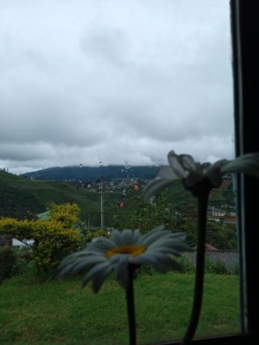 a flower in a window with a view of a city at Mount View Cottage in Nuwara Eliya