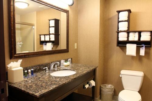 a bathroom with a sink, mirror, and toilet at Pier House 60 Clearwater Beach Marina Hotel in Clearwater Beach