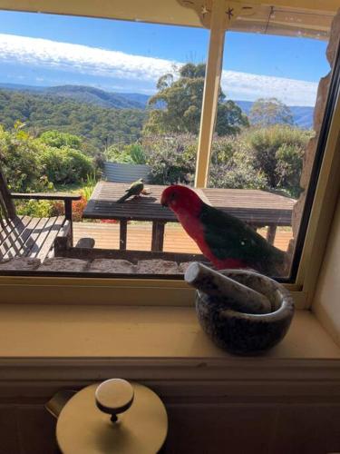 a red and green bird sitting on a window sill at Charming 1-Bed Farm Cabin with Wood Fire in Tenterfield
