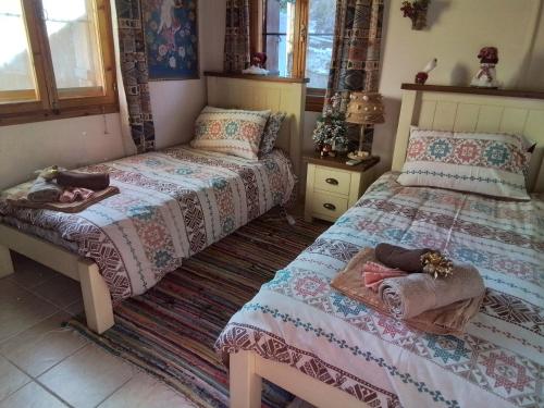 a bedroom with two twin beds and a window at Despina country retreat in Paphos City