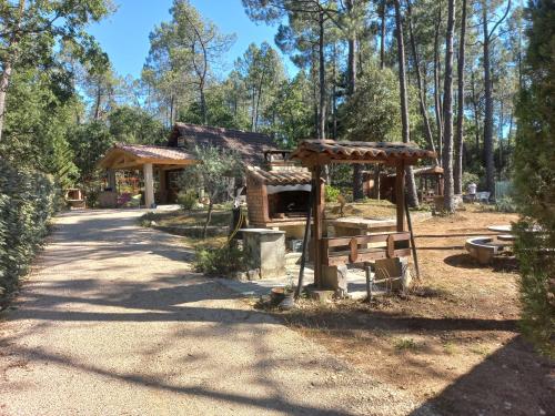 un groupe de bâtiments au milieu d'une forêt dans l'établissement The Chalet VertVentoux - Charming Wooden Chalet for a Cozy and Relaxing Getaway, à Bédoin