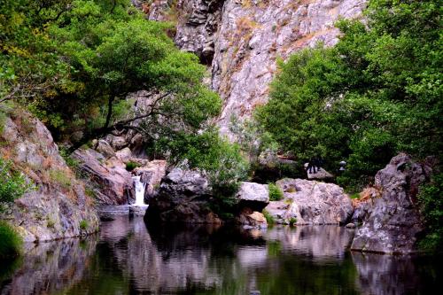 a waterfall in the middle of a river with trees at Hotel Rural Solar Das Freiras in Figueiró dos Vinhos