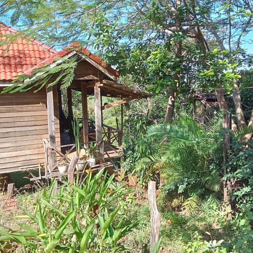 Κήπος έξω από το Garden View Lodge & Jungle Tour