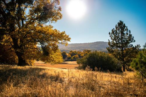 a view of a field with trees in the background at Award-winning A-frame Chalet W Cedar Tub & Views in Julian