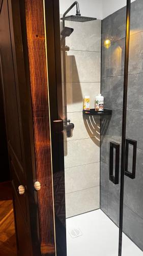 une douche avec une porte vitrée dans une salle de bain dans l'établissement Prestigieuse Résidence ST MARIE - Appt 2 Chambres - N 16, à Bellac