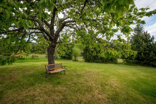 a park bench sitting under a tree in a field at Apartmán U Mluvících Kamenů in Staré Křečany