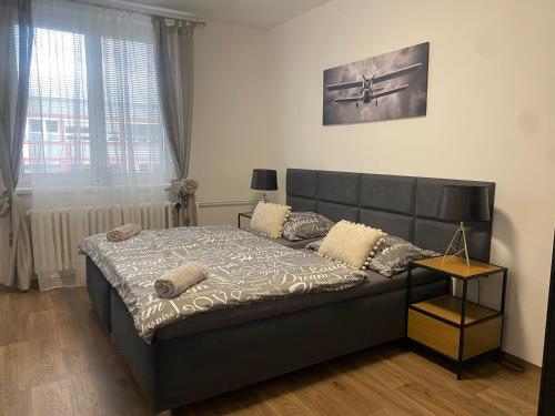 a bedroom with a large bed in a room at Černá Růže - Apartmán 3 in Plzeň