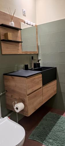 une salle de bain avec un lavabo, des toilettes et un miroir dans l'établissement Appartement sous les remparts, à Carcassonne
