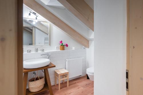 a bathroom with a sink and a toilet at Apartmány za Královskou mincovnou in Jáchymov