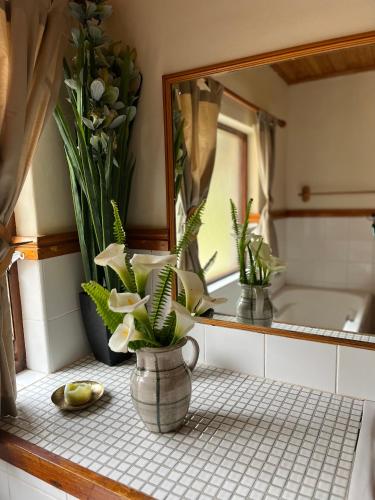 a vase with flowers on a counter in a bathroom at Greenfern Lodge and Chalets in Kafferkop