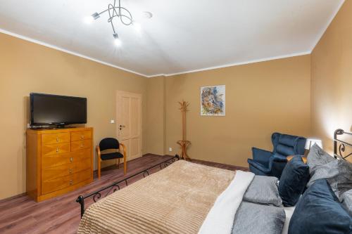 a living room with a bed and a tv at Apartmány za Královskou mincovnou in Jáchymov
