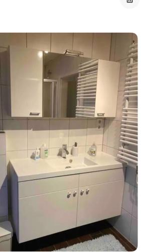 a bathroom with a white sink and a mirror at Gästewohnung 25 in Wildeshausen
