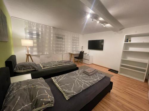 Televisyen dan/atau pusat hiburan di Exklusives Zimmer mit geteiltem Bad und Küche OM