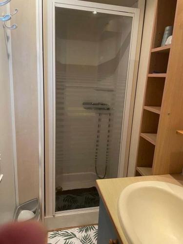 une salle de bain avec douche et lavabo dans l'établissement L'aubélie, à Agde