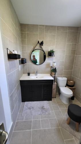 une salle de bain avec un lavabo, des toilettes et un miroir dans l'établissement Gîte MAEVA, à Vallon-Pont-dʼArc