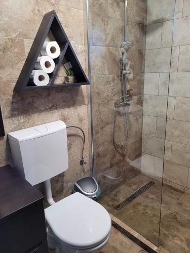 ein Badezimmer mit Toilette und Dusche in der Unterkunft Casa Sofia Avrig in Avrig