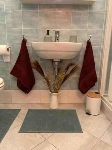 a bathroom with a sink and a toilet and a white sink at Florentia Viola Apartament I in Florence