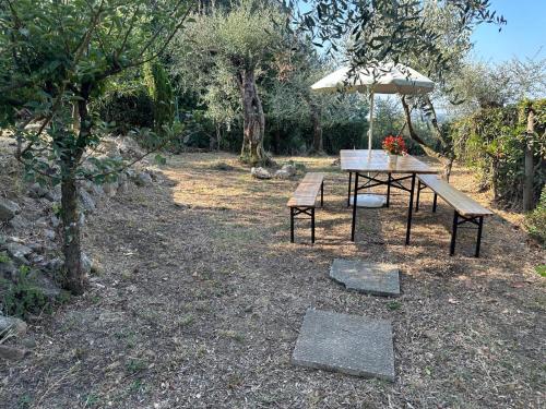 a picnic table with an umbrella and a bench at Agrihome Di Alberto Giuseppe Gulotta B&B Bella Vista Appartamento Salvia in Massarosa