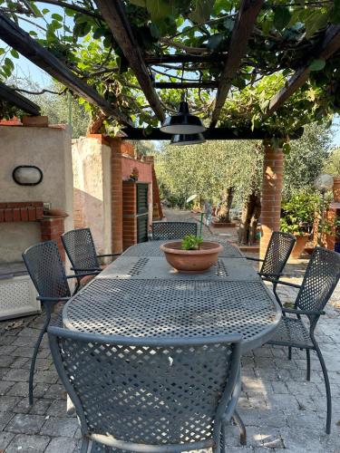 a table with chairs and a potted plant on a patio at Agrihome Di Alberto Giuseppe Gulotta B&B Bella Vista Appartamento Salvia in Massarosa