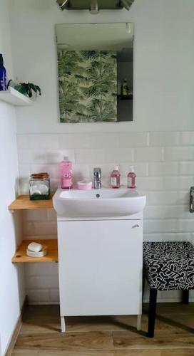 une salle de bain avec un lavabo blanc et un miroir dans l'établissement Ma petite maison 2 chambres, à Acquigny