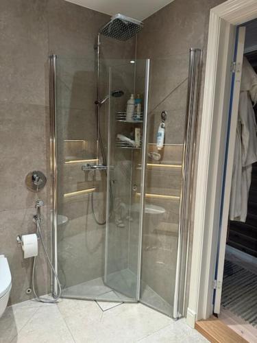 a shower with a glass door in a bathroom at Skogshytte på Skreia in Brattlia