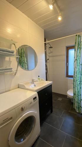 a bathroom with a washing machine and a sink at Ferien-und-Messeappartement-Falke in Fürth