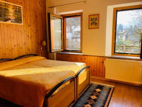 a bedroom with a bed and two windows at Residence Dolomiti in Forni di Sopra
