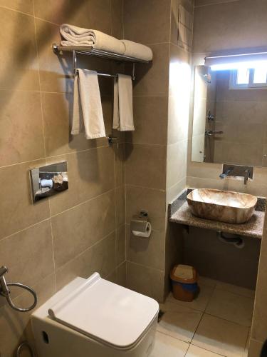 a bathroom with a toilet and a sink at होटेल गोदावरी Lalitpur in Godāvari