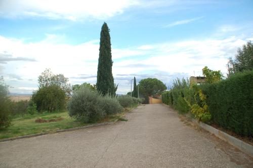 an empty road with a tree and bushes at Casa rural Dalia in Sierra de Fuentes