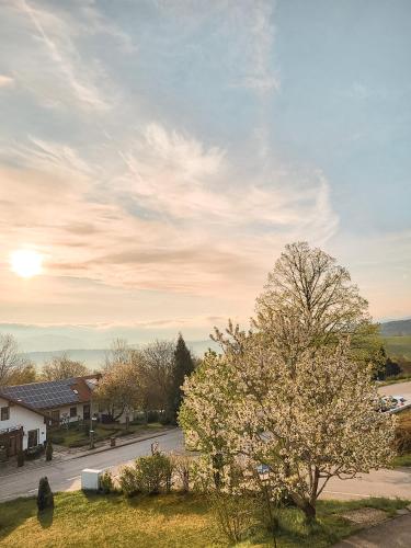 a tree on the side of a road with the sunset at Breitenberger Hof "inklusive Frühstück" in Breitenberg