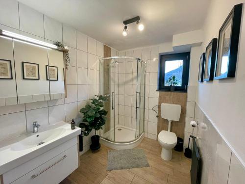 Un baño con ducha, inodoro y lavabo. en Alp Haus Grossglockner, en Bruck an der Großglocknerstraße