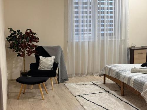 a bedroom with a chair and a window with a plant at Apartament "Marka" in Piła