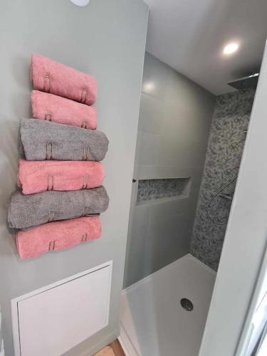 La salle de bains est pourvue d'une douche et de serviettes roses et grises. dans l'établissement l'ANDRESE, à Hiéville