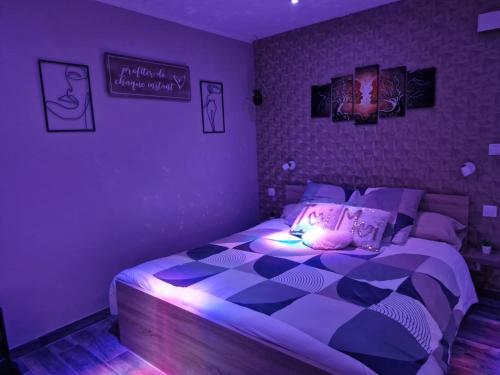 a bedroom with a bed with lights on it at Studio avec jacuzzi , terrasse amenagée et wifi à Westrehem in Westrehem