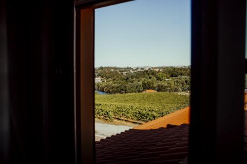 a view from a door looking out at a vineyard at Quinta das Areias - Solar da Pena in Braga