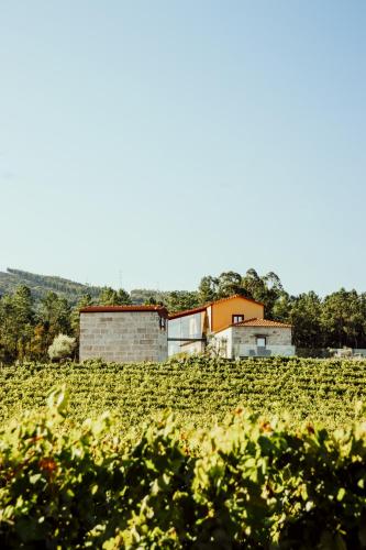 a house in the middle of a field at Quinta das Areias - Solar da Pena in Braga