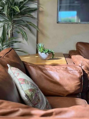 a leather couch with pillows and a table with a plant at Cosy, private guest house with pool and private parking in Rockingham