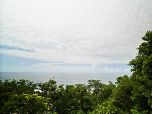 a view of the ocean from behind some trees at Cocolia Hotel in Mazunte