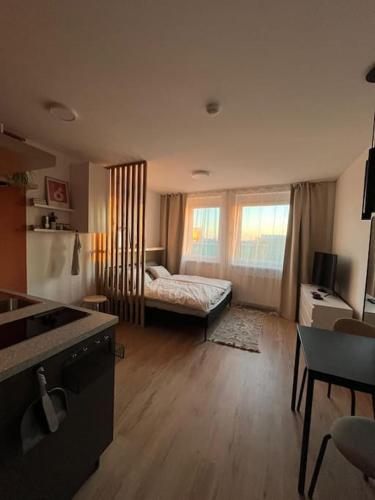 a large living room with a bed and a kitchen at Small cozy apartment, coffee and parking free in Trnávka
