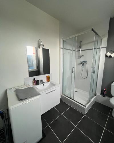 une salle de bain avec douche et lavabo dans l'établissement Très joli T1 à Lambezellec avec parking gratuit, à Brest